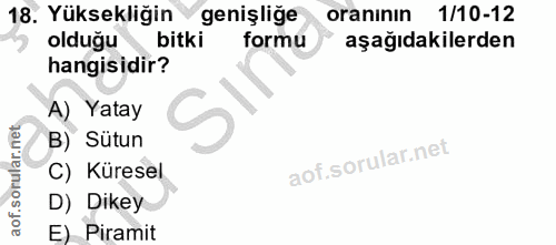 18. soru: Yüksekliğin genişliğe oraninın 1/10-12 olduğu bitki formu aşağıdakilerden hangisidir? A) Yatay B) Sütun C) Küresel D)…