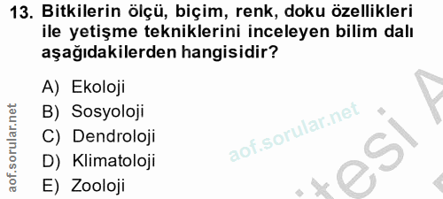 13. soru: Bitkilerin ölçü, biçim, renk, doku özellikleri ile yetişme tekniklerini inceleyen bilim dalı aşağıdakilerden hangisid…