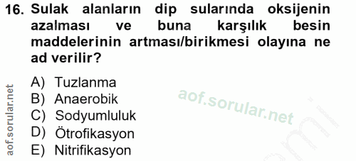 16. soru: Sulak alanların dip sularında oksijenin azalması ve buna karşılık besin maddelerinin artması/birikmesi olayına ne ad…