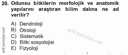20. soru: Odunsu bitkilerin morfolojik ve anatomik yapılarını araştıran bilim dalına ne ad verilir? A) Dendroloji B) Ötroloji C…