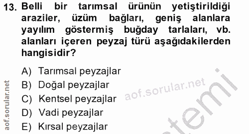 13. soru: Belli bir tarımsal ürünün yetiştirildiği araziler, üzüm bağları, geniş alanlara yayılım göstermiş buğday tarlaları, v…