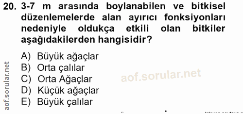 20. soru: 3-7 m arasında oylanabilen ve bitkisel düzenlemelerde alan ayırıcı fonksiyonları nedeniyle oldukça etkili olan bitkil…