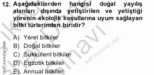 12. soru: Aşağıdakilerden hangisi doğal yayılış alanları dışında yetiştirilen ve yetiştiği yörenin ekolojik koşullarına uyum sa…