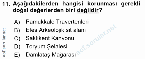 11. soru: Aşağıdakilerden hangisi korunması gerekli doğal değerlerden biri değildir? A) Pamukkale Travertenleri B) Efes Arkeolo…