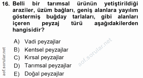 16. soru: Belli bir tarımsal ürünün yetiştirildiği araziler, üzüm bağları, geniş alanlara yayılım göstermiş buğday tarlaları, g…