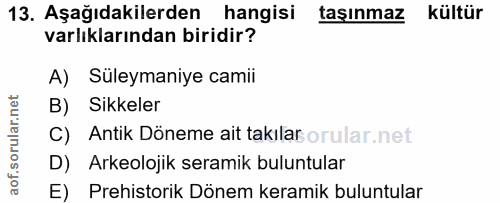 13. soru: Aşağıdakilerden hangisi taşınmaz kültür varlıklarından biridir? A) Süleymaniye camii B) Sikkeler C) Antik Döneme ait…