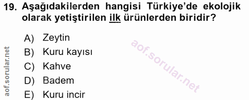 19. soru: Aşağıdakilerden hangisi Türkiye'de ekolojik olarak yetiştirilen ilk ürünlerden biridir? A) Zeytin B) Kuru kayısı C) K…