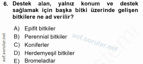 6. soru: Destek alan, yalnız konum ve destek sağlamak için başka bitki üzerinde gelişen bitkilere ne ad verilir? A) Epifit bit…