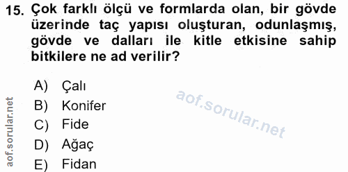 15. soru: Çok farklı ölçü ve formlarda olan, bir gövde üzerinde taç yapısı oluşturan, odunlaşmış, gövde ve dalları ile kitle et…