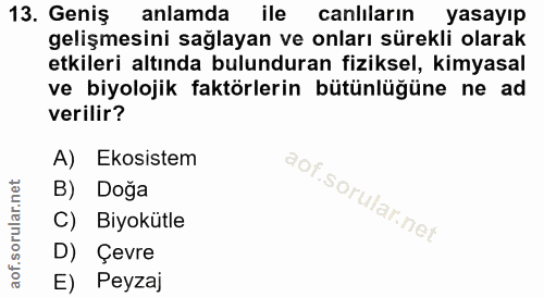 13. soru: Geniş anlamda ile canliların yasayıp gelişmesini sağlayan ve onları sürekli olarak etkileri altında bulunduran fiziks…