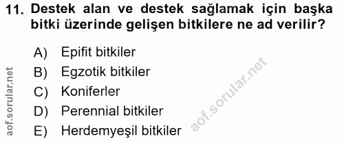 11. soru: Destek alan ve destek sağlamak için başka bitki üzerinde gelişen bitkilere ne ad verilir? A) Epifit bitkiler B) Egzot…