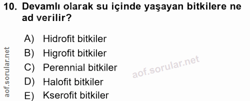 10. soru: Devamlı olarak su içinde yaşayan bitkilere ne ad verilir? A) Hidrofit bitkiler B) Higrofit bitkiler C) Perennial bitk…