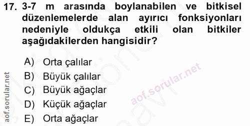 17. soru: 3-7 m arasında boyanabilen ve bitkisel düzenlemelerde alan ayırıcı fonksiyonları nedeniyle oldukça etkili olan bitkil…