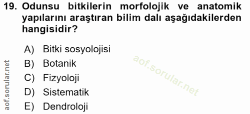 19. soru: Odunsu bitkilerin morfolojik ve anatomik yapılarını araştıran bilim dalı aşağıdakilerden hangisidir? A) Bitki sosyolo…