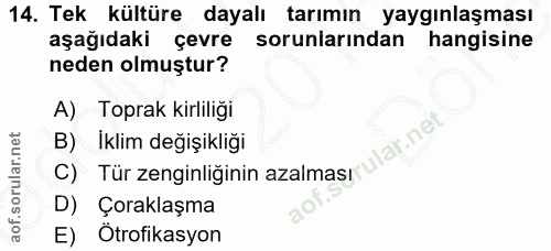 14. soru: Tek kültüre dayalı tarımın yaygınlaşması aşağıdaki çevre sorunlarından hangisine neden olmuştur? A) Toprak kirliliği…