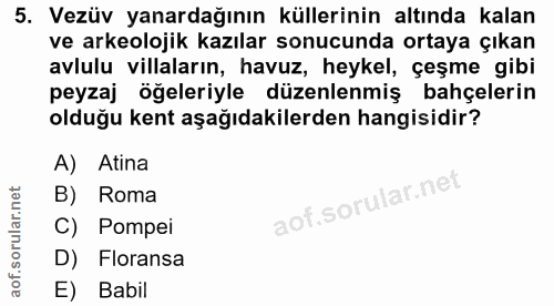 5. soru: Vezüv yanardağının küllerinin altında kalan ve arkeolojik kazılar sonucunda ortaya çıkan avlulu villaların, havuz, he…
