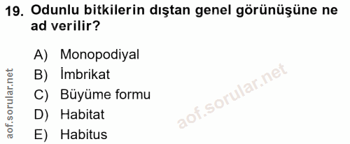 19. soru: Odunlu bitkilerin dıştan genel görünüşüne ne ad verilir? A) Monopodiyal B) İmbrikat C) Büyüme formu D) Habitat E) Hab…