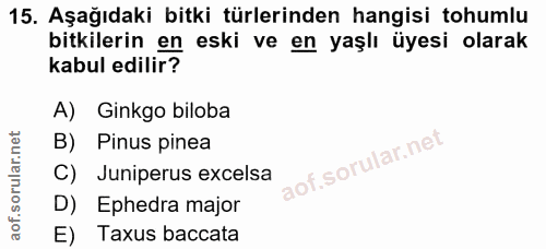 15. soru: Aşağıdaki bitki türlerinden hangisi tohumlu bitkilerin en eski ve en yaşlı üyesi olarak kabul edilir? A) Ginkgo bilob…