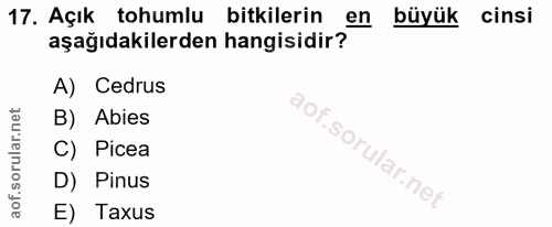 17. soru: Açık tohumlu bitkilerin en büyük cinsi aşağıdakilerden hangisidir? A) Cedrus B) Abies C) Picea D) Pinus E) Taxus