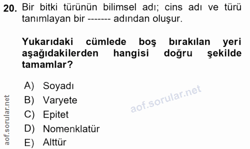 20. soru: Bir bitki türünün bilimsel adı; cins adı ve türü tanımlayan bir -- adından oluşur. Yukarıdaki cümlede boş bırakılan y…