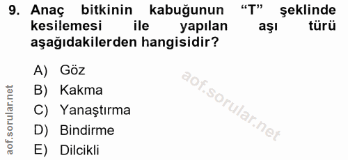 9. soru: Anaç bitkinin kabuğunun "T" şeklinde kesilemesi ile yapılan aşı türü aşağıdakilerden hangisidir? A) Göz B) Kakma C) Y…