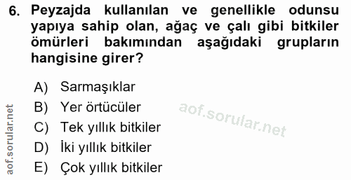 6. soru: Peyzajda kullanılan ve genellikle odunsu yapıya sahip olan, ağaç ve çalı gibi bitkiler ömürleri bakımından aşağıdaki…