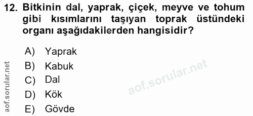 12. soru: Bitkinin dal, yaprak, çiçek, meyve ve tohum gibi kısımlarını taşıyan toprak üstündeki organı aşağıdakilerden hangisid…