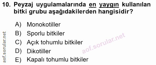10. soru: Peyzaj uygulamalarında en yaygın kullanılan bitki grubu aşağıdakilerden hangisidir? A) Monokotiller B) Sporlu bitkile…