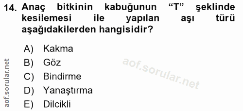 14. soru: Anaç bitkinin kabuğunun "T" şeklinde kesilemesi ile yapılan aşl türü aşağıdakilerden hangisidir? A) Kakma B) Göz C) B…