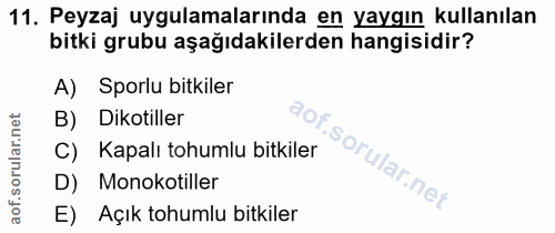 11. soru: Peyzaj uygulamalarında en yaygın kullanılan bitki grubu aşağıdakilerden hangisidir? A) Sporlu bitkiler B) Dikotiller…