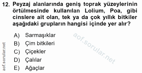 12. soru: Peyzaj alanlarında geniş toprak yüzeylerinin örtülmesinde kullanılan Lolium, Poa, gibi cinslere ait olan, tek ya da ç…