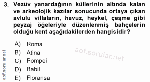 3. soru: Vezüv yanardağının küllerinin altında kalan ve arkeolojik kazılar sonucunda ortaya çıkan avlulu villaların, havuz, he…