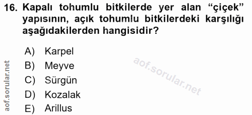 16. soru: Kapalı tohumlu bitkilerde yer alan "çiçek" yapısının, açık tohumlu bitkilerdeki karşılığı aşağıdakilerden hangisidir?…
