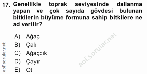 17. soru: Genellikle toprak seviyesinde dallanma yapan ve çok sayıda gövdesi bulunan bitkilerin büyüme formuna sahip bitkilere…