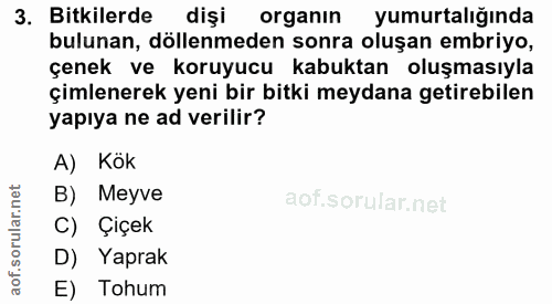 3. soru: Bitkilerde dişi organın yumurtalığında bulunan, döllenmeden sonra oluşan embriyo, çenek ve koruyucu kabuktan oluşması…