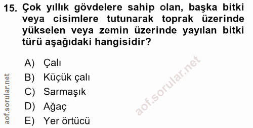 15. soru: Çok yıllık gövdelere sahip olan, başka bitki veya cisimlere tutunarak toprak üzerinde yükselen veya zemin üzerinde ya…