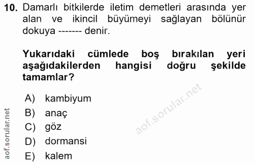 10. soru: Damarlı bitkilerde iletim demetleri arasında yer alan ve ikincil büyümeyi sağlayan bölünür dokuya -- denir. Yukarıdak…