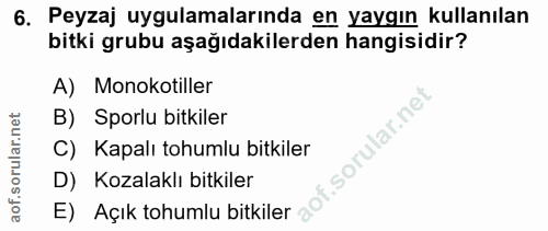 6. soru: Peyzaj uygulamalarında en yaygın kullanılan bitki grubu aşağıdakilerden hangisidir? A) Monokotiller B) Sporlu bitkile…