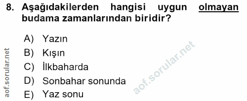 8. soru: Aşağıdakilerden hangisi uygun olmayan budama zamanlarından biridir? A) Yazın B) Kışın of. C) ilkbaharda D) Sonbahar s…