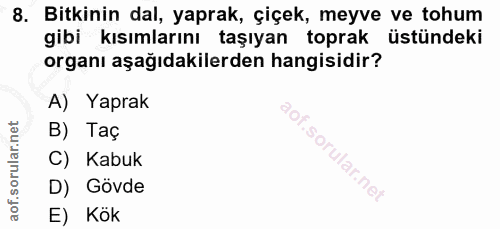 8. soru: Bitkinin dal, yaprak, çiçek, meyve ve tohum gibi kısımlarını taşıyan toprak üstündeki organı aşağıdakilerden hangisid…