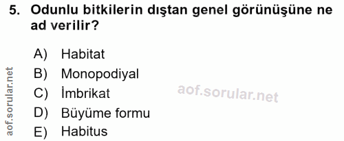 5. soru: Odunlu bitkilerin dıştan genel görünüşüne ne ad verilir? A) Habitat B) Monopodiyal C) İmbrikat D) Büyüme formu E) Hab…