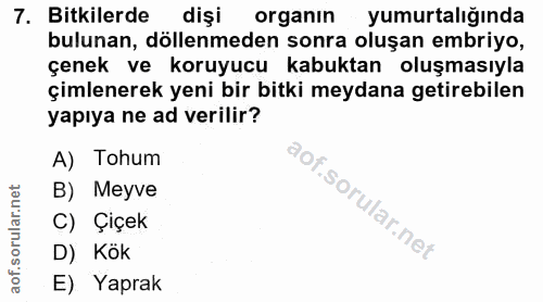 7. soru: Bitkilerde dişi organın yumurtalığında bulunan, döllenmeden sonra oluşan embriyo, çenek ve koruyucu kabuktan oluşması…