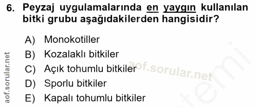 6. soru: Peyzaj uygulamalarında en yaygın kullanılan bitki grubu aşağıdakilerden hangisidir? A) Monokotiller c) Açık tohumlu b…