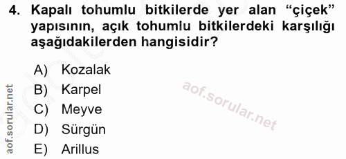 4. soru: Kapalı tohumlu bitkilerde yer alan "çiçek" yapısının, açık tohumlu bitkilerdeki karşılığı aşağıdakilerden hangisidir?…