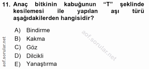 11. soru: Anaç bitkinin kabuğunun "T" şeklinde kesilemesi ile yapılan türü aşağıdakilerden hangisidir? A) Bindirme B) Kakma C)…