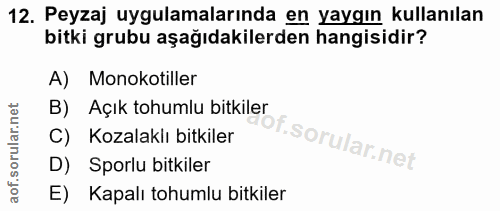 12. soru: Peyzaj uygulamalarında en yaygın kullanılan bitki grubu aşağıdakilerden hangisidir? A) Monokotiller B) Açık tohumlu b…