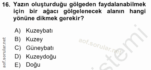 16. soru: Yazın oluşturduğu gölgeden faydalanabilmek için bir ağacı gölgelenecek alanın hangi yönüne dikmek gerekir? A) Kuzeyba…
