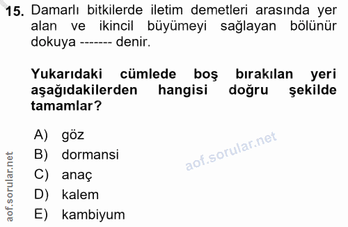 15. soru: Damarlı bitkilerde iletim demetleri arasında yer alan ve ikincil büyümeyi sağlayan bölünür dokuya -—_ denir. Yukarıda…
