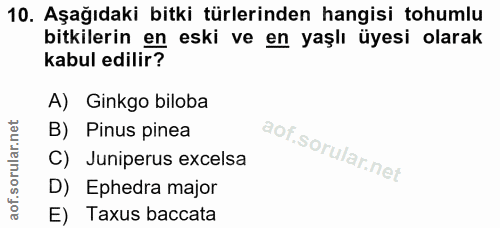 10. soru: Aşağıdaki bitki türlerinden hangisi tohumlu bitkilerin en eski ve en yaşlı üyesi olarak kabul edilir? A) Ginkgo bilob…