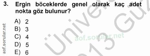3. soru: Ergin böceklerde nokta göz bulunur? denel olarak kaç adet A) 3 net 5 E